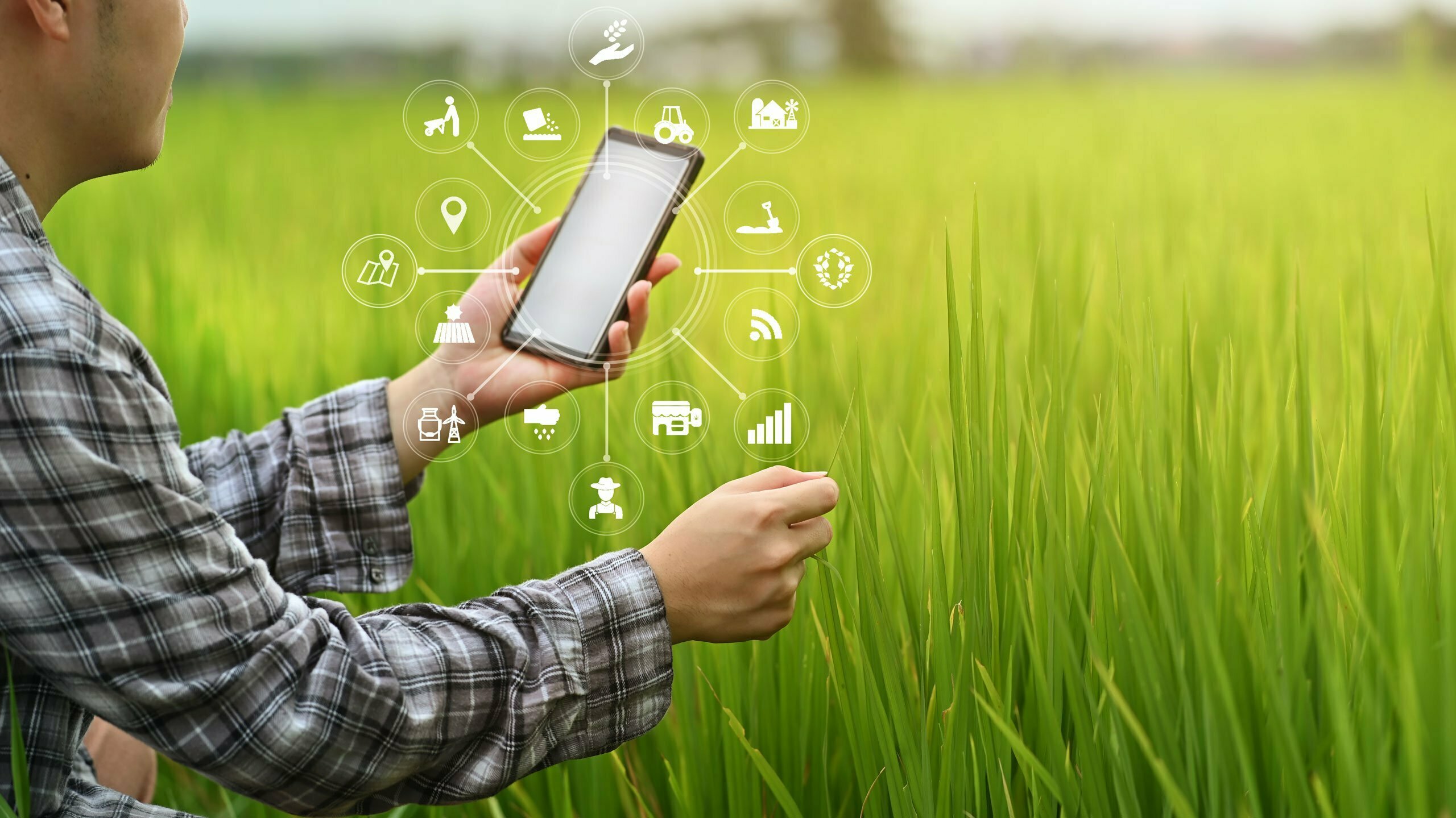 agriculture-technology-farmer-man-using-smartphone