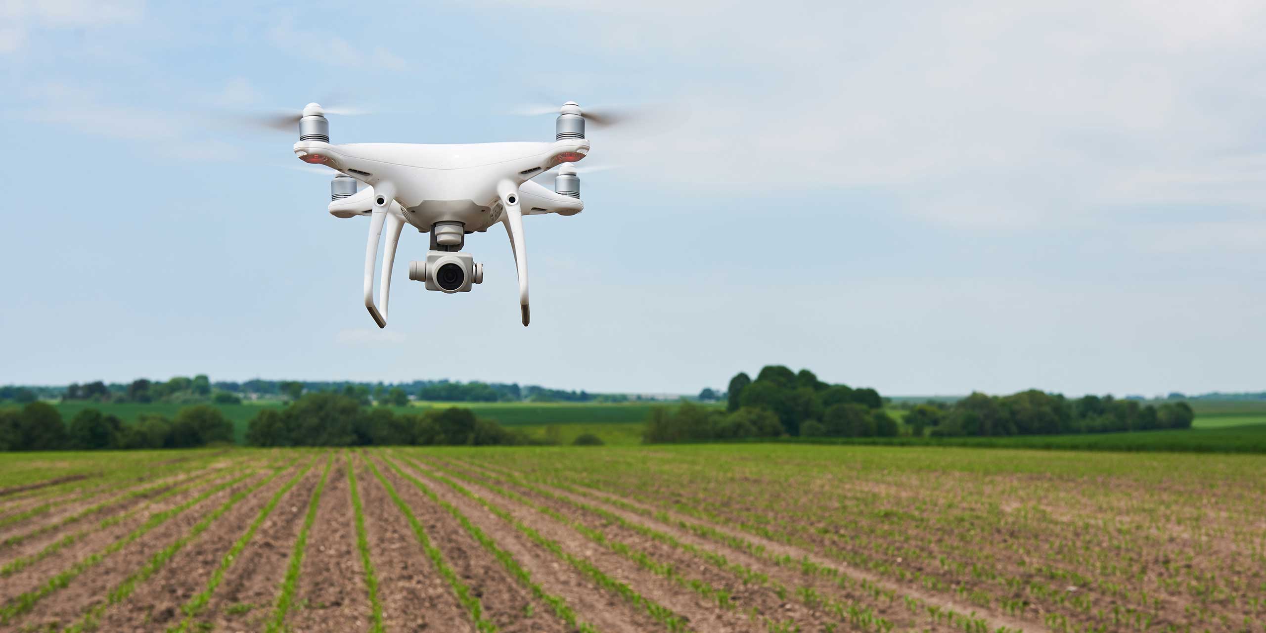 drone-field-agro-2560